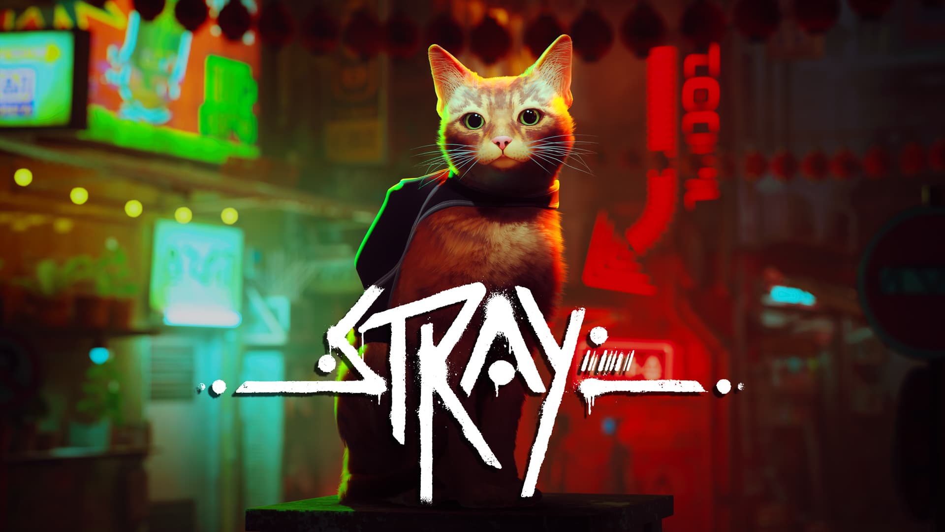 Análise: Stray acaba sendo um jogo sólido para o Switch 2